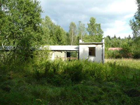 Foto 113
